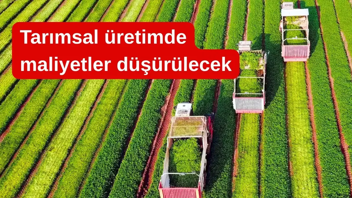 Gıda fiyatlarında yeni dönem: Tarımsal üretimde maliyetler düşürülecek
