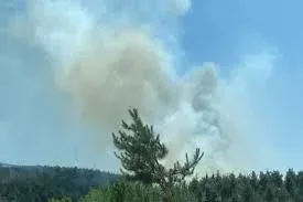 Üç ilde orman yangınlarına müdahale sürüyor