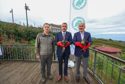 Yaralı arı şahinleri Rize’de doğaya salındı
